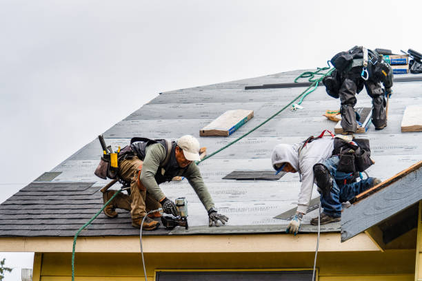 Professional Storm Damage Roof Repair technician working in Elfers, FL